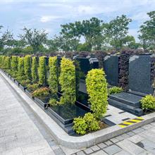 上海优质墓地 上海优质墓地