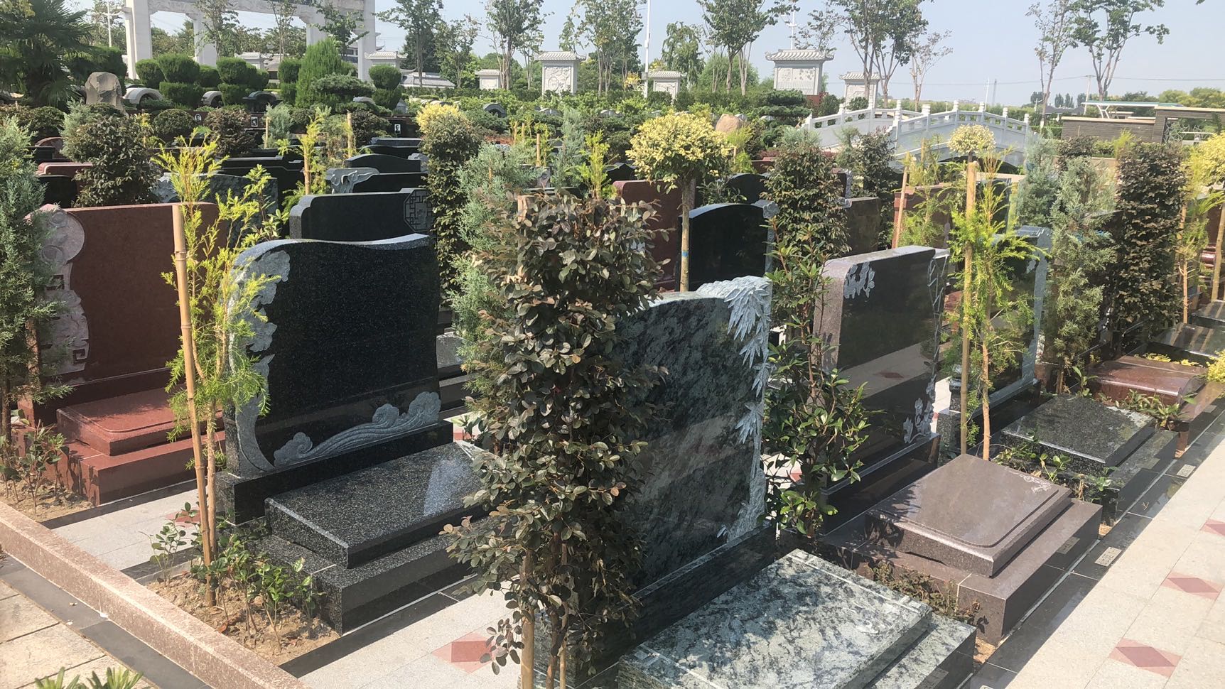 仙仕5区全.jpg 仙仕5区全.jpg